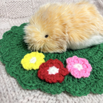 モフリンの草原マット🌸