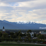 滿開のかんざし＊在庫有り＊簪＊着物＊和装＊天然石