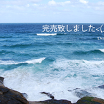 紫音のかんざし＊アメジスト＊蝶貝＊簪＊着物和装
