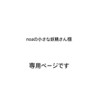 専用ページです