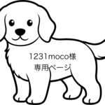 リボン男子くん💕のバルーンタンクのお袖付け2点