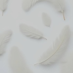 ❁ あかり 様 専用ページ ❁