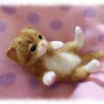 machikan 様御予約品、生まれたてのネコしゃんＮｏ．14