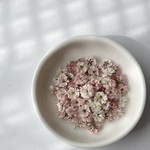 【D-02 ダスティブロッサム】国産 大粒 かすみ草 大容量 ドライフラワー 小花 レジン ネイル ハンドメイド 花材
