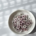 【D-04 ダスティモーブ】国産 大粒 かすみ草 大容量 ドライフラワー 小花 レジン ネイル ハンドメイド 花材