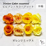 大地農園！プリザーブドフラワー 「ビビアン・カラーアソート オレンジミックス 4色×2輪ずつ 8輪」 モーニングイエロー ミモザイエロー ジュリアオレンジ フルーティーオレンジ プリザ 花材 ハーバリ