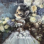 【pkuma8様 専用】送料無料 12・18ファスナーポーチ アッシュデザイン イジェヒョン ハンドメイド 猫