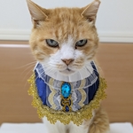 ネイビー王子様