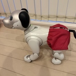 カラーデニムおぱんつ(赤)