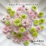 かすみ草　＊さくらもち＊　ふりるブーケシリーズ　ドライフラワー　レジン　ヘッドのみ　カスミソウ　カスミ草　花材　青　赤　緑　黄色　ピンク　紫　ラベンダー　かすみ草ドライフラワー　
