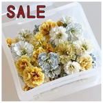 【SALE】かすみ草ドライフラワー
