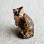 キジトラ猫　