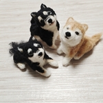 わんこ3体セット