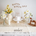 【片道送料無料・最短翌日発送】 おうちレンタルスタジオセット　バースデーフォトamber