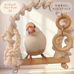 安全で安心《とりさんのプレイランド》SSサイズ✩.*˚文鳥ブランコ