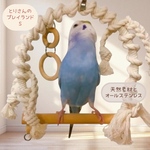 安全で安心《とりさんのプレイランド》Sサイズ✩.*˚鳥ブランコ-インコブランコ