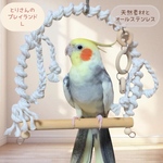 安全で安心《とりさんのプレイランド》Lサイズ✩.*˚鳥ブランコ-インコブランコ