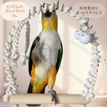 安全で安心《とりさんのプレイランド》XLサイズ✩.*˚シロハラインコ   ブランコ