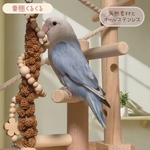 安全で安心《お花の粟穂くるくる》ナスカン付き♡粟穂ホルダー＊ミレットホルダー