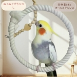 安全で安心《ハートのぬくぬくブランコ》Ｌサイズ✩.*˚鳥ブランコ-インコブランコ