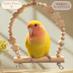 安心で安心《うちのこブランコ》Mサイズ(コザクラさん)✩.*鳥ブランコ インコブランコ　インコおもちゃ