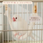 安全で安心 ★完全オーダー制★ 《コットンブランコ》✩.*˚ケージ用 ショートタイプ