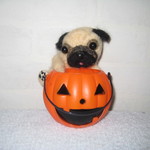 ☆期間限定☆羊毛フェルト　パグ(ハロウィンバージョン)