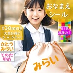 30mm💗お手軽な3~5セット⭐大きめおなまえワッペンレッスンバッグおなまえシールお好きなお色お得セット⭐絵本バッグお名前シールお名前ワッペンひらがな平仮名洗濯ok！ネームプリント