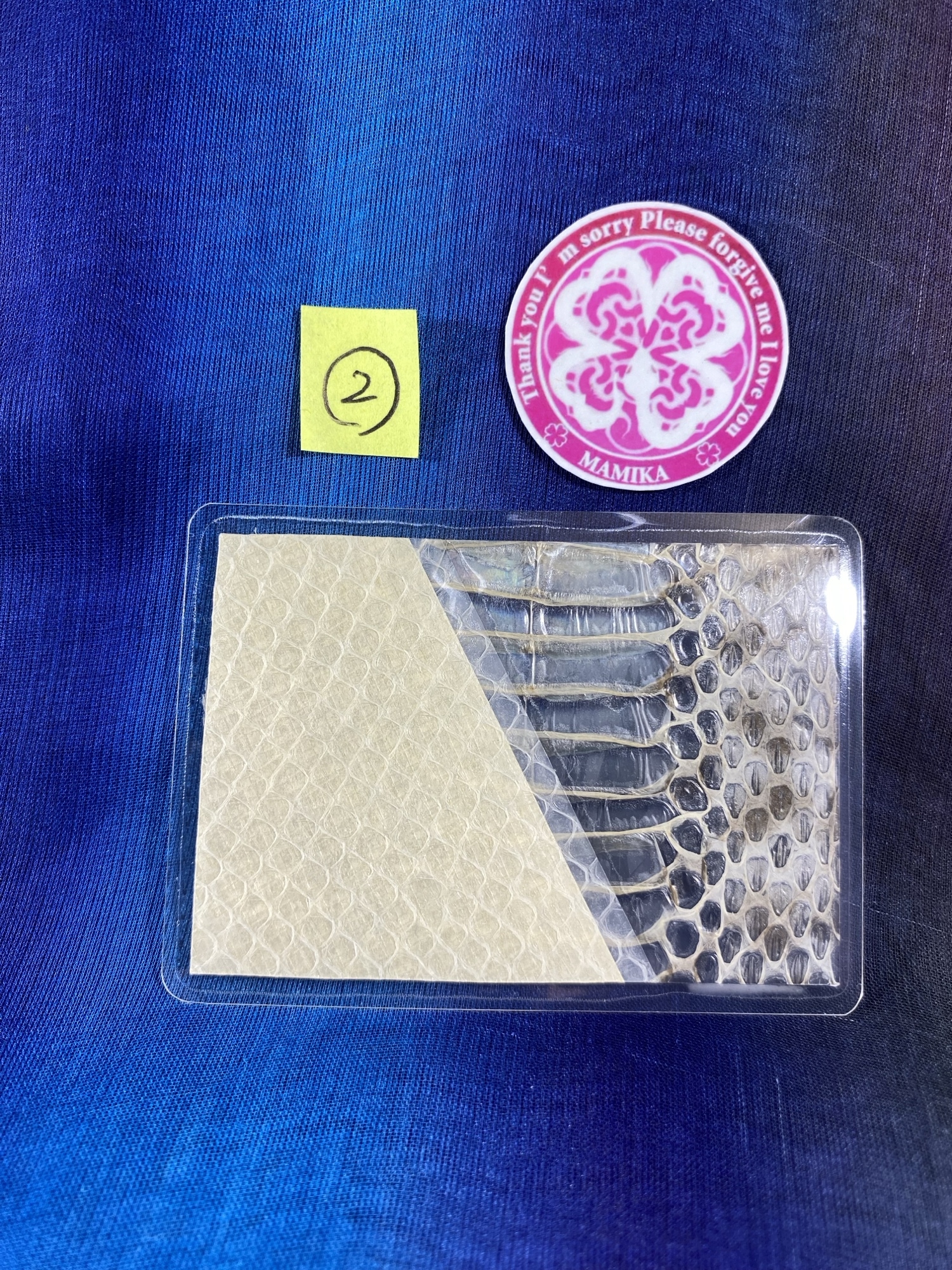 虹のマムシ 金運アップ マムシ 白蛇 お守り 1000万円の帯封 帯 純金