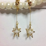 【⭐️️100突破】スター⭐️️パールイヤリング・ピアス