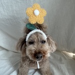 フラワー🌼カチューシャ