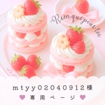 【専用ページ】mtyy02040912様‪♥︎ˎˊ˗‬