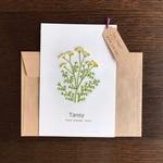 ⭐️Yuco様専用ページ⭐️8月の誕生日カード タンジーの花言葉ポストメッセージカード・壁飾り インテリア バースデー