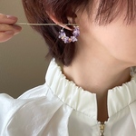 "豊かさと癒し"のアメトリン✴︎フープピアス