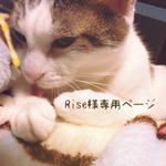 Rise様専用ページ