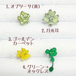 ☆一粒ずつお買い求めの方向け・受注生産☆多肉植物の標本/ 【petite succulente-プティタニ-】小さなピアス/イヤリング　マニキュアフラワー