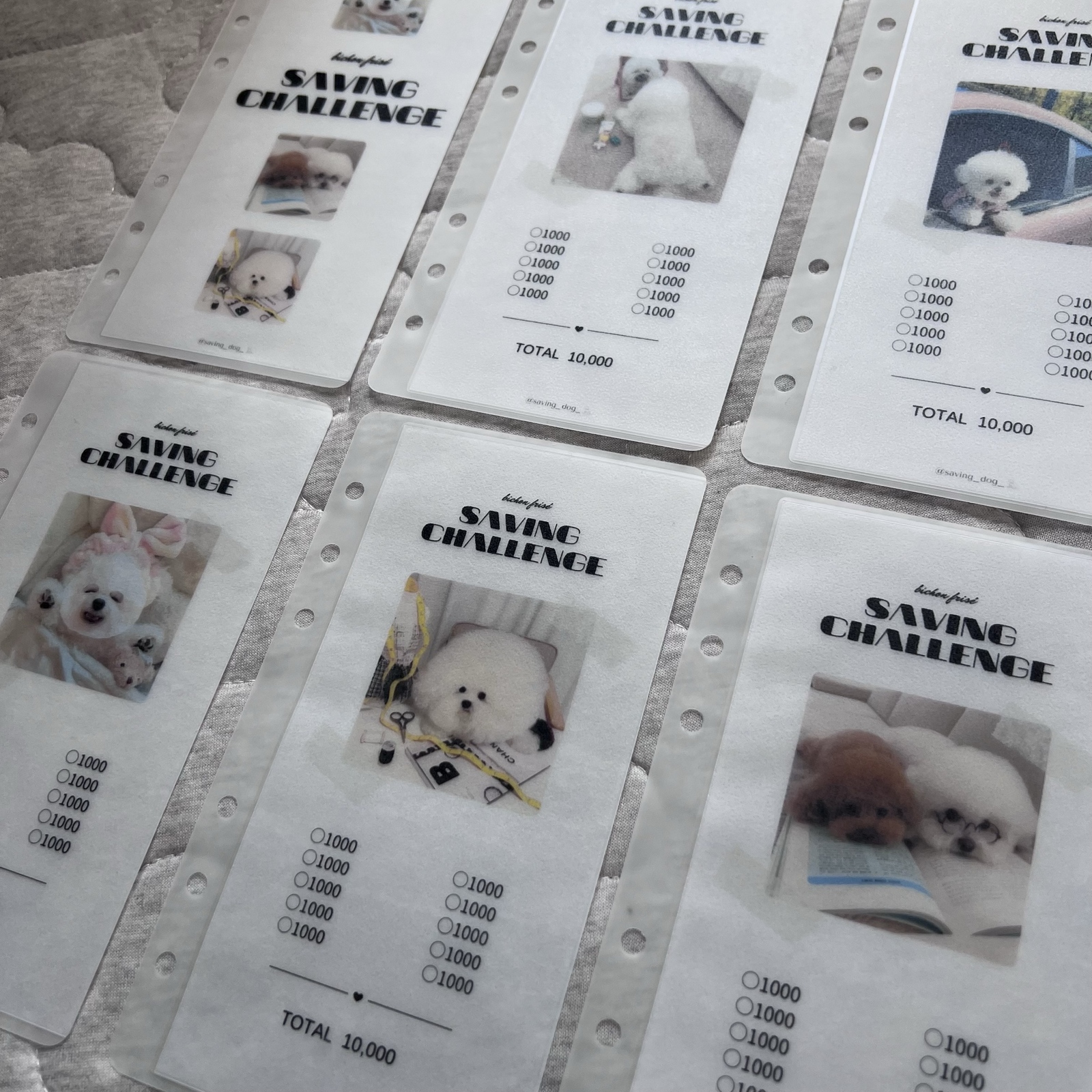 韓国で大人気！savingリフィル ビションフリーゼ 犬 - saving-dog