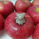 お座り子猫