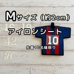 フェルトに貼れるアイロン文字シート【3日間限定　オーダー】Mサイズ文字