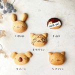 動物いろいろ　お顔マグネットB