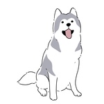 ペットイラスト　専用ページ