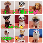 羊毛フェルト　オーダー　犬　チワワ　シーズー　日本スピッツ　ボーダーコリー　柴犬　トイプードル　シュナウザー　ぬいぐるみ