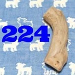 ☆2.犬のおもちゃ犬用パピイガム、新品国産歯固め梨木、超小型犬お試し向き