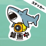 ホホジロザメ*サメ【録画中ステッカー】ドライブレコーダー/防犯カメラ共通