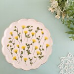 押し花素材713　メカルドニアのセット　花材　イエロー　茎葉付き　