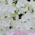 hさま専用ページです。