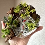 【4/4(土)21時〜販売】水辺の境界線(お写真のものをお届けします)