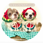 夏限定♡"フルーツバブーシュカ〔犬.猫用〕"▶︎犬用アクセサリー　犬猫グッズ　夏服　スイカの洋服　オーダー