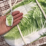 ミニ白菜🌱