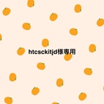 htcskitjd様専用